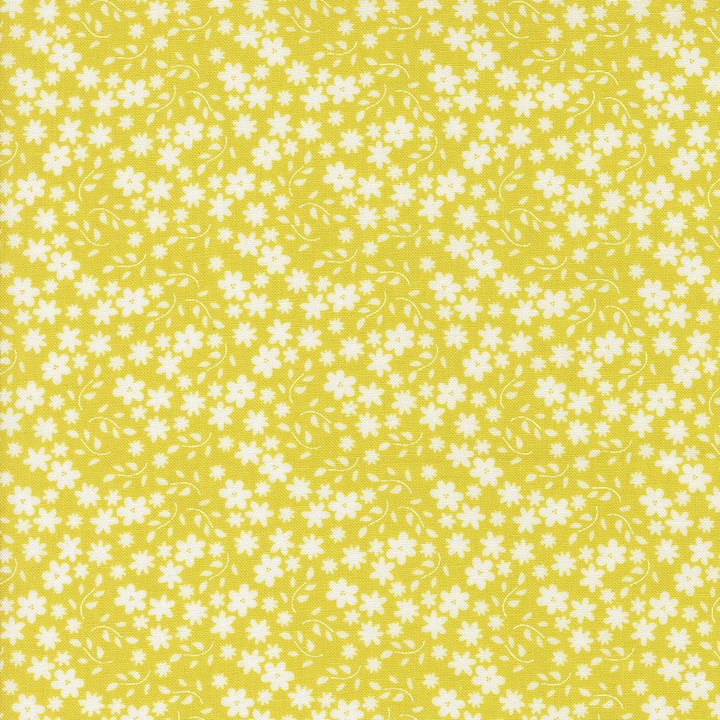 Raspberry Summer - Blossom Sunshine 37693-16
