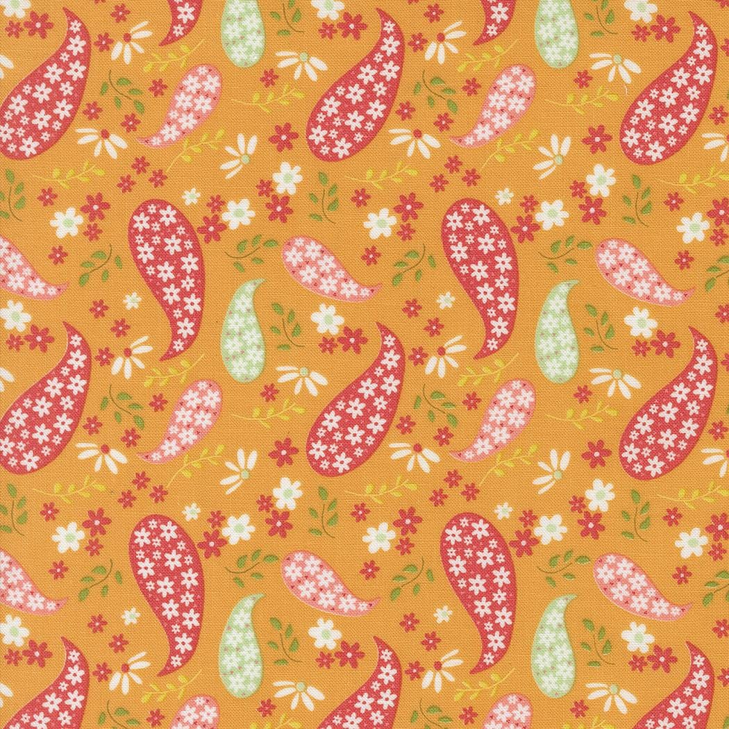 Raspberry Summer - Paisley Paisley Apricot 37691-14