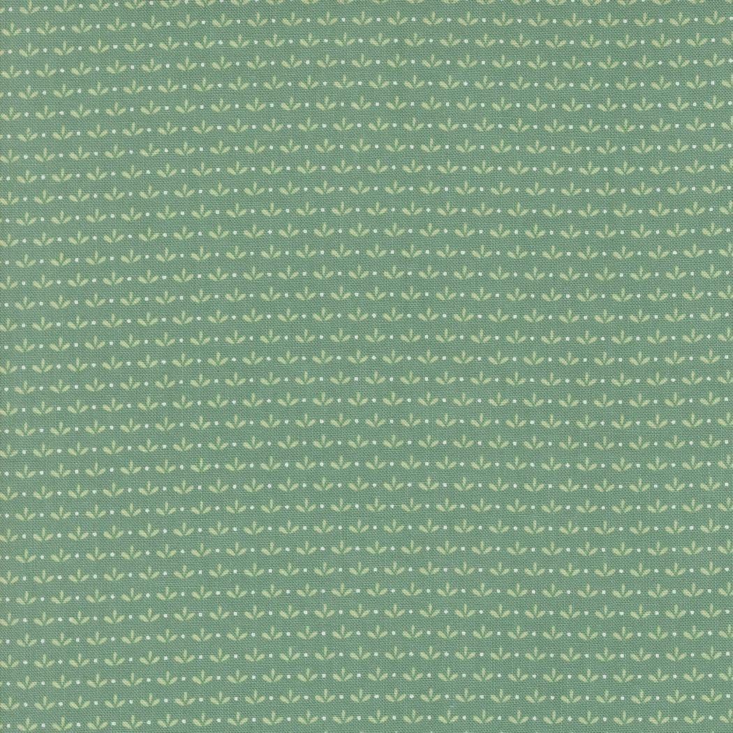 Raspberry Summer - Sprout Blenders Teal 37694-19