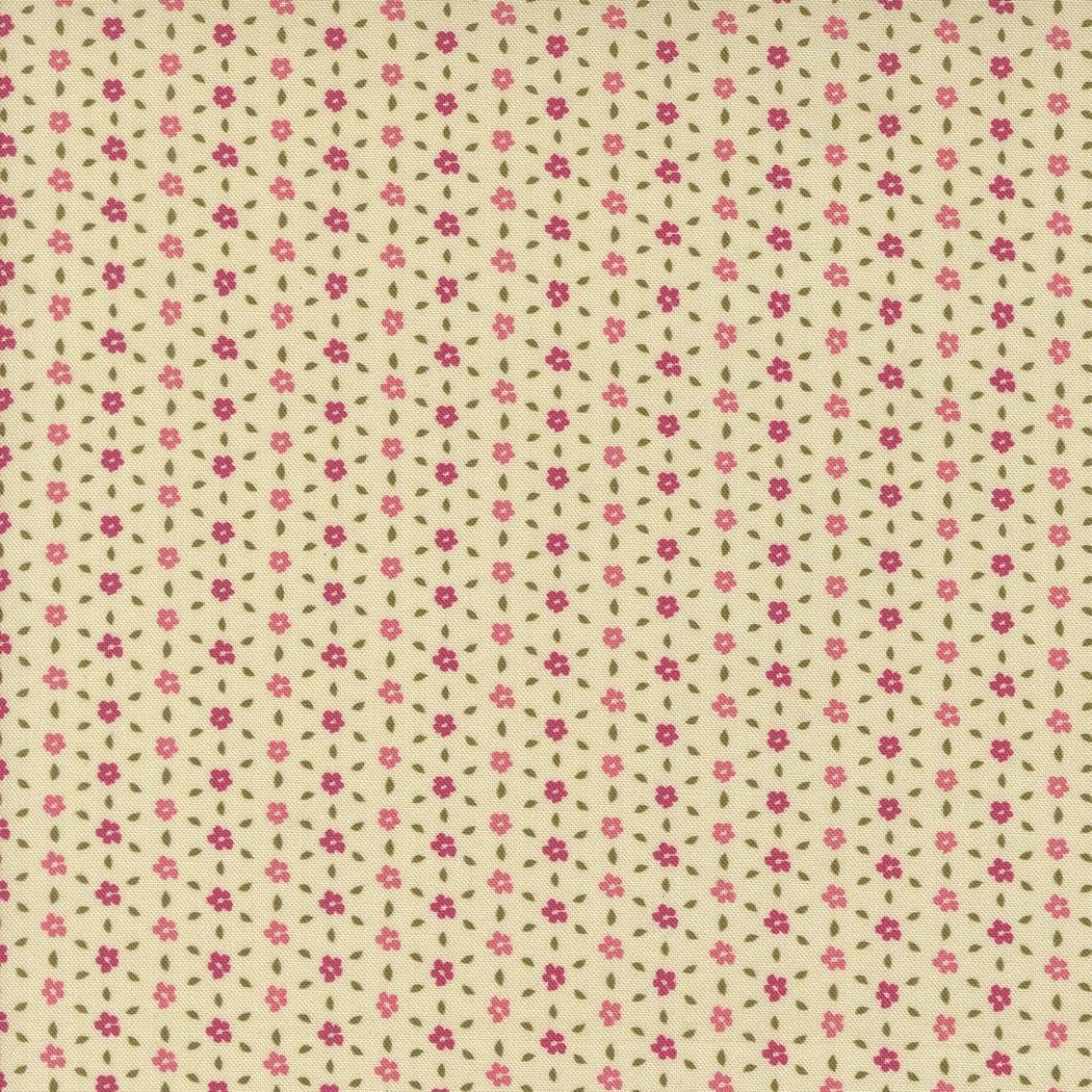 Sagewood - Seedling Pearl 11956-11