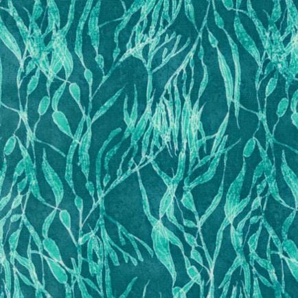Serena Shores - Seaweeds Lagoon 48773-23