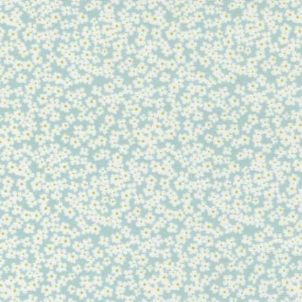 Shine - Bloom Cloud 55672-12