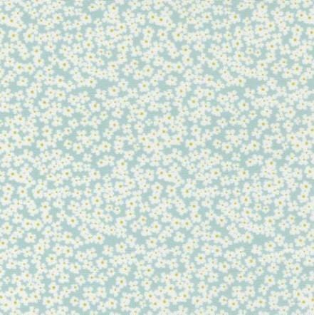 Shine - Bloom Cloud 55672-12