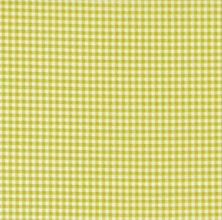 Shine - Gingham Grass 55676-16