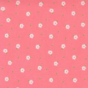 Sincerely Yours - Chamomile Floral - Flamingo 37614-15