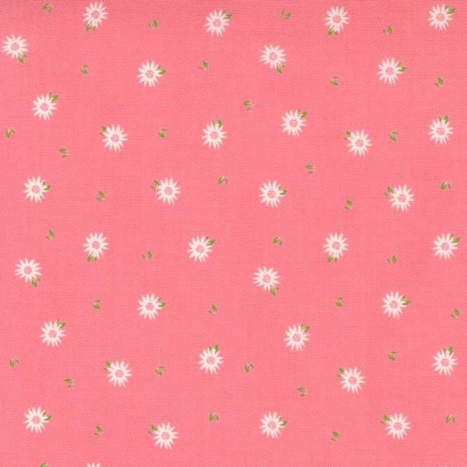 Sincerely Yours - Chamomile Floral - Flamingo 37614-15