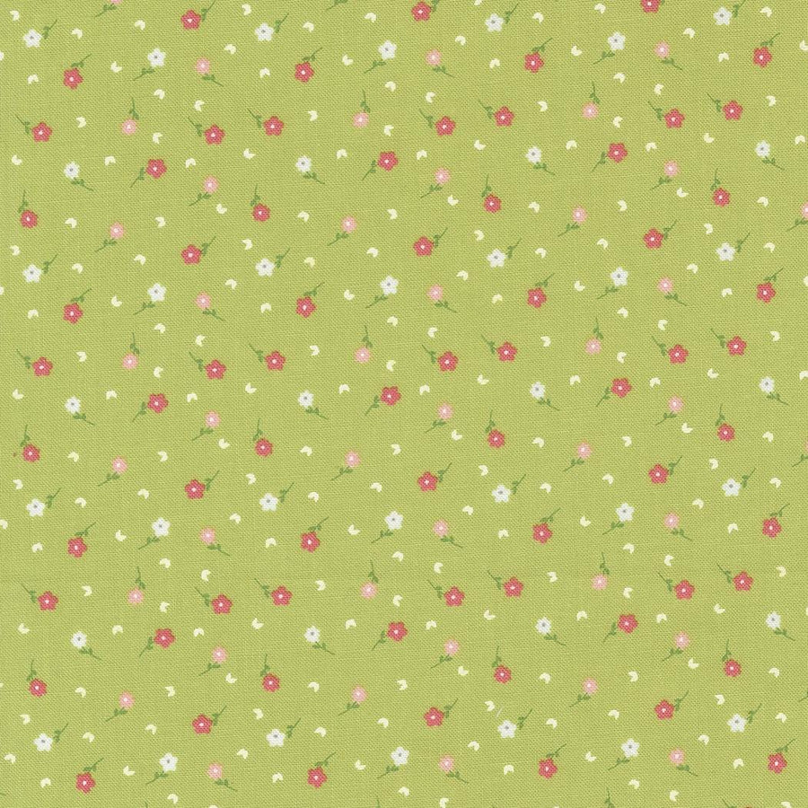 Strawberry Lemonade - Poppies Ditsy Fresh Grass 37674-19
