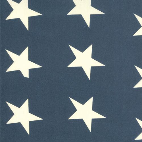 Toweling Basics - 19" Bar Harbor Star Bunting 12211-23