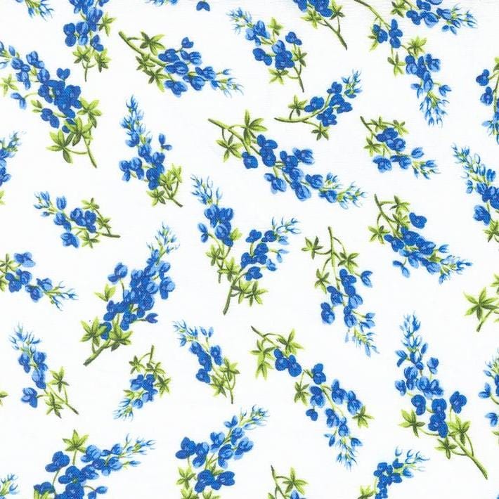 Wildflowers 2024 - Bluebonnet Toss Cloud 33775-11