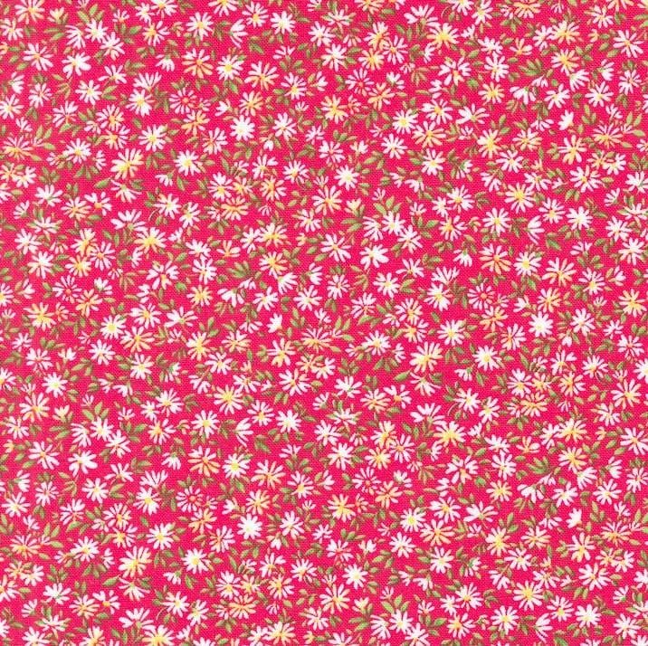 Wildflowers 2024 - Daisy Field Bluebonnet 33776-15