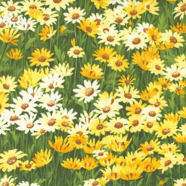 Wildflowers 2024 - Daisy Florals Sunshine 33773-14