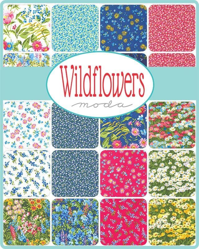 Wildflowers 2024 - Jelly Roll 33770JR