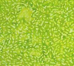 Lime Twist- Ketan 81000-710