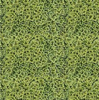 Naturescape - Green Clover 25497-73