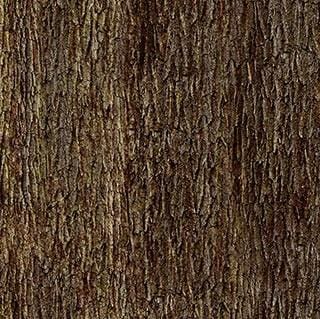 Naturescapes - Tree Trunk 25501-36