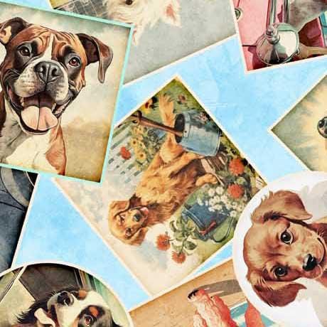 Top Dog - Dog Collage Blue – Stitchin Heaven