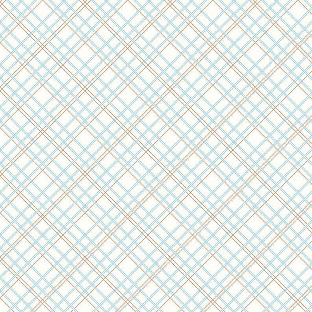 Bee Backings & Borders - Plaid Aqua RBWB6422-AQUA