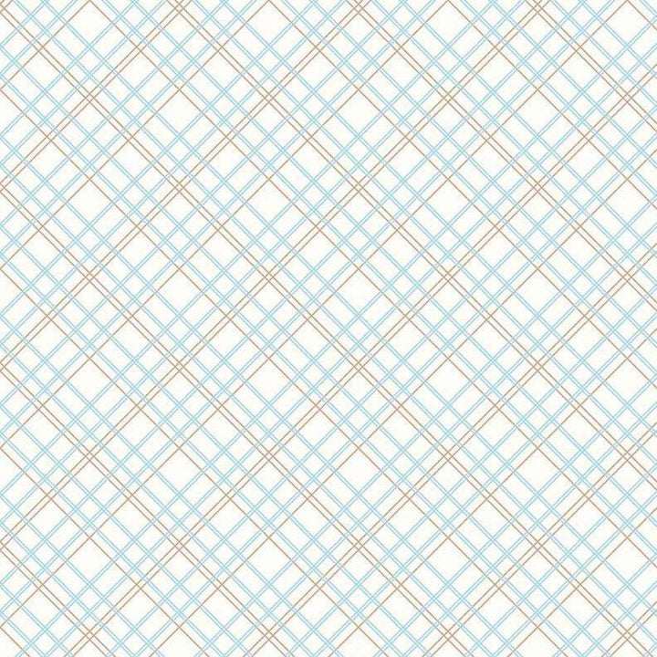 Bee Backings & Borders - Plaid Aqua RBWB6422-AQUA