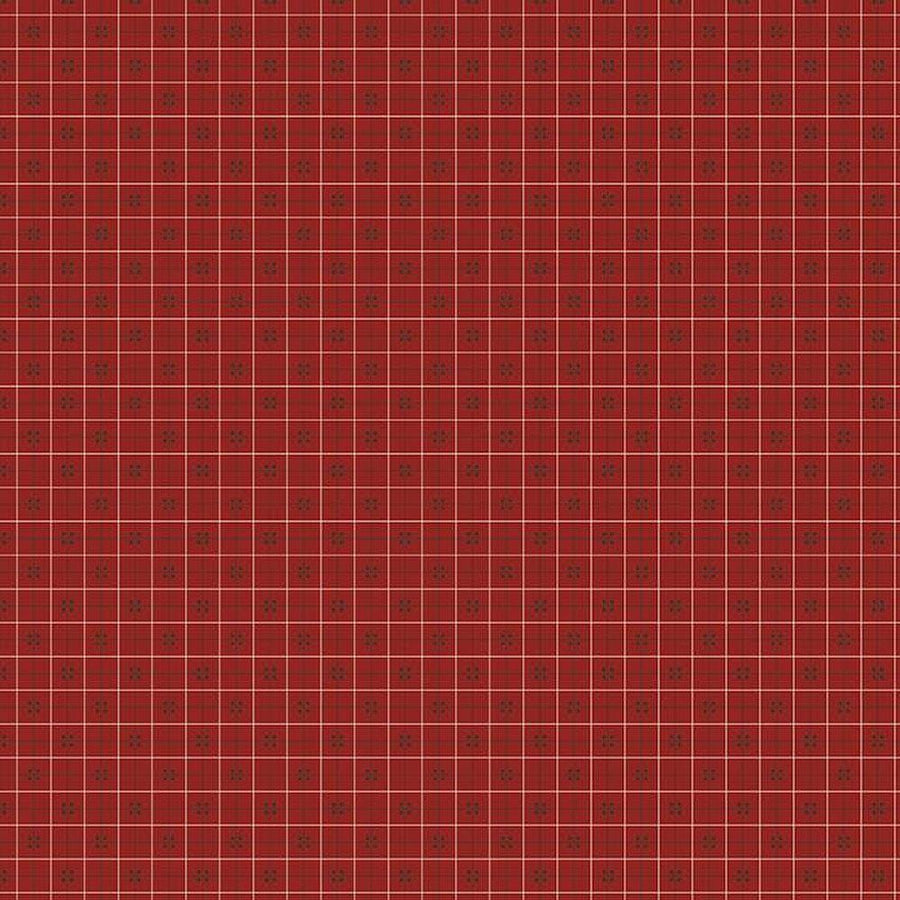 Bee Plaids - Cidar Barn Red C12031-BARNRED