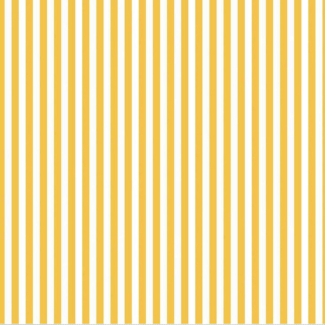 Blast Off - Solar Stripe Yellow F12594-YELLOW