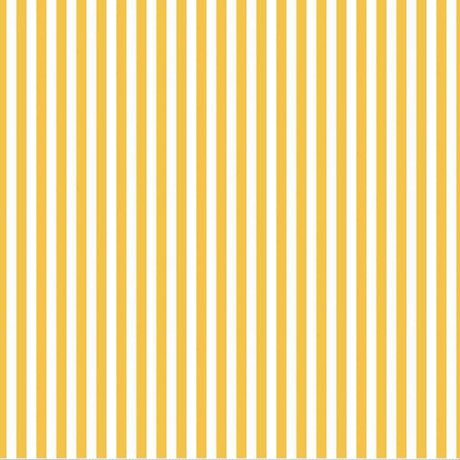 Blast Off - Solar Stripe Yellow F12594-YELLOW