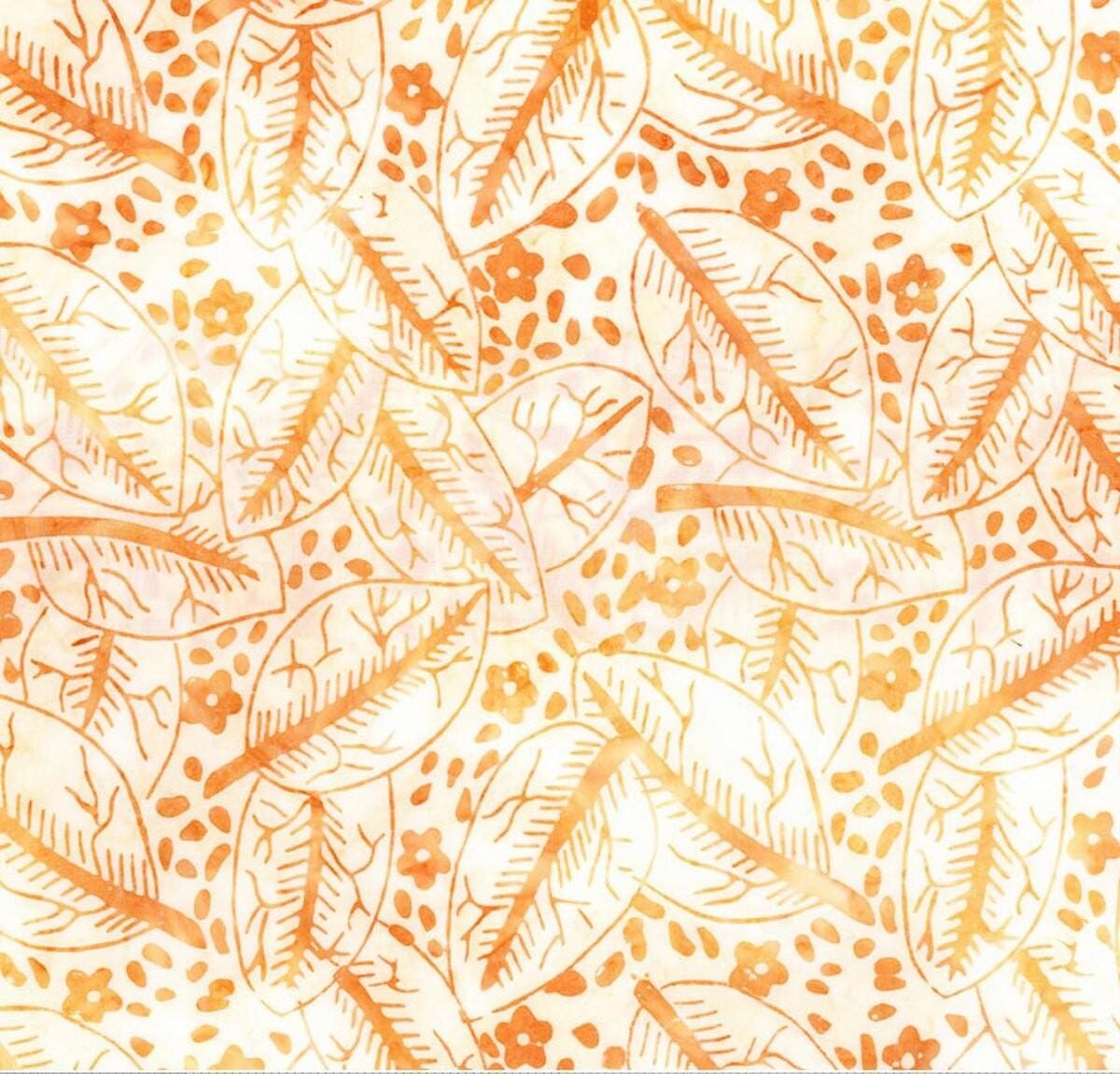 Canopy - Spicy Sprinkles BT23431-124