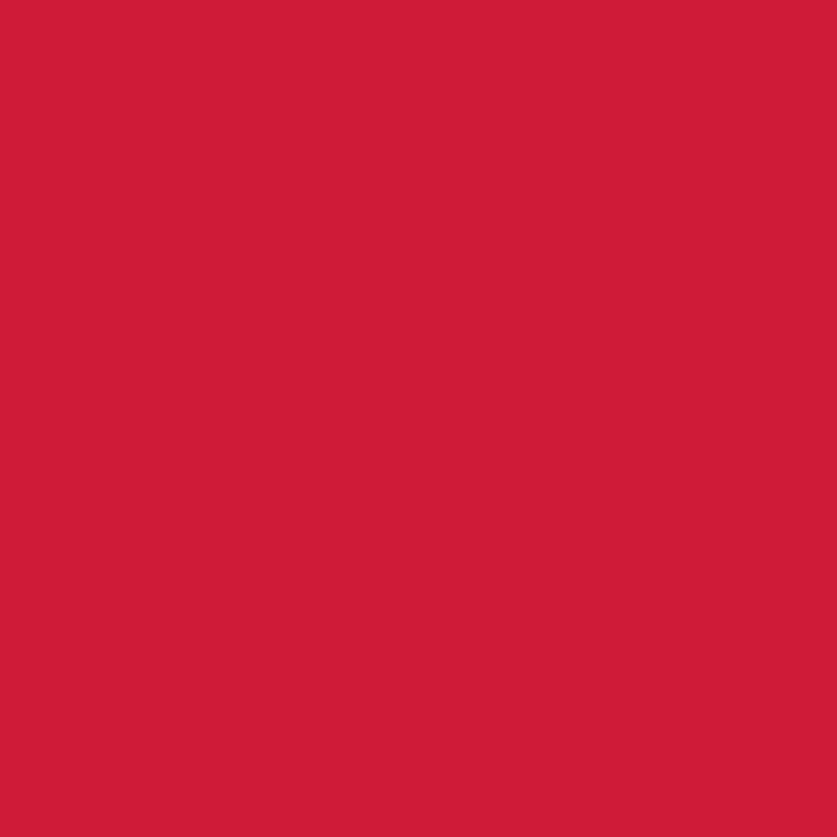 Confetti Cotton - Schoolhouse Red C120-SCHOOLHOUS
