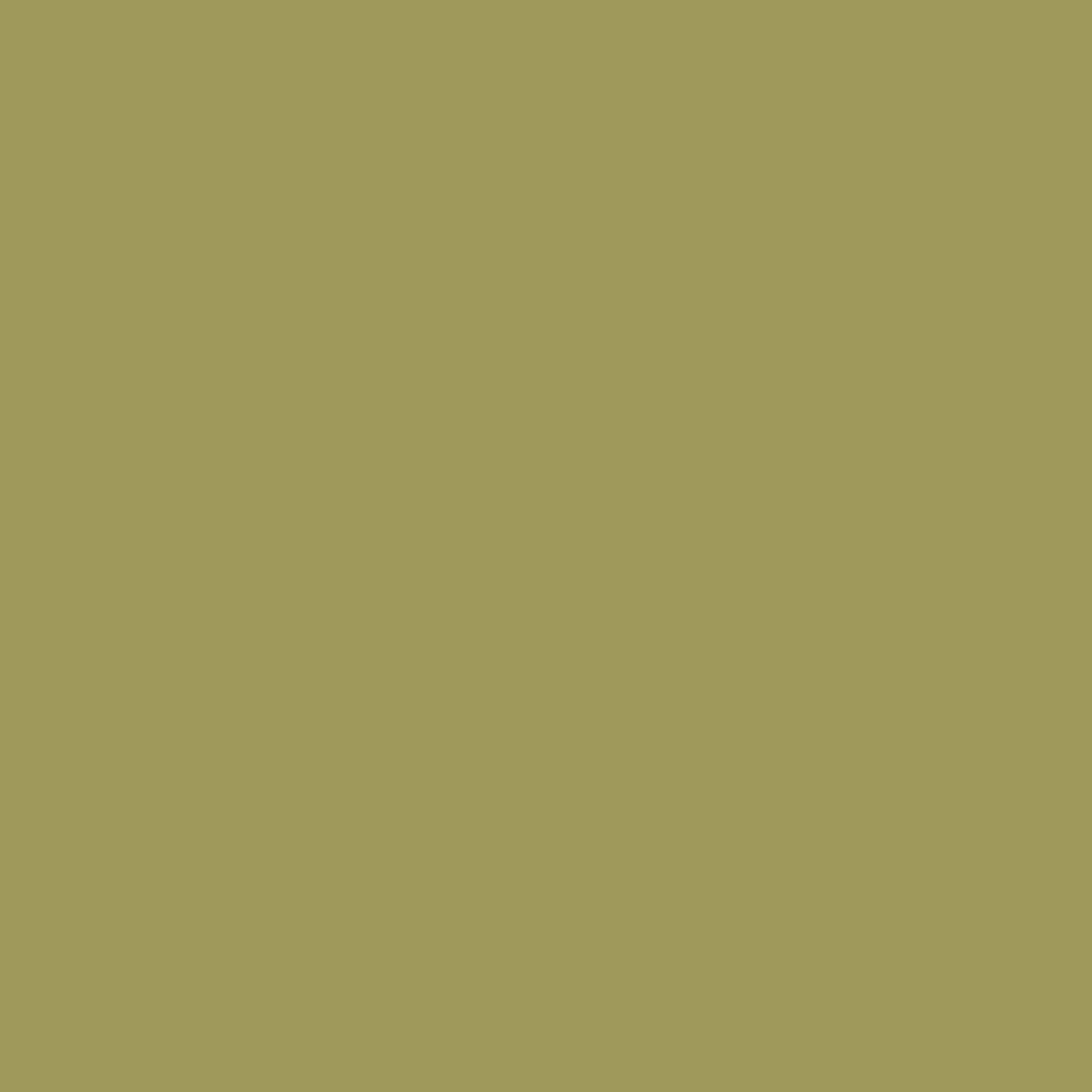 Confetti Cottons - Moss C120-MOSS