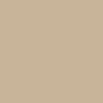 Confetti Cottons - Palomino C120-PALOMINO