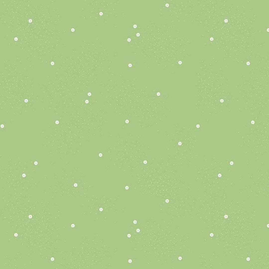 Dainty Daisy - Grass C665-GRASS