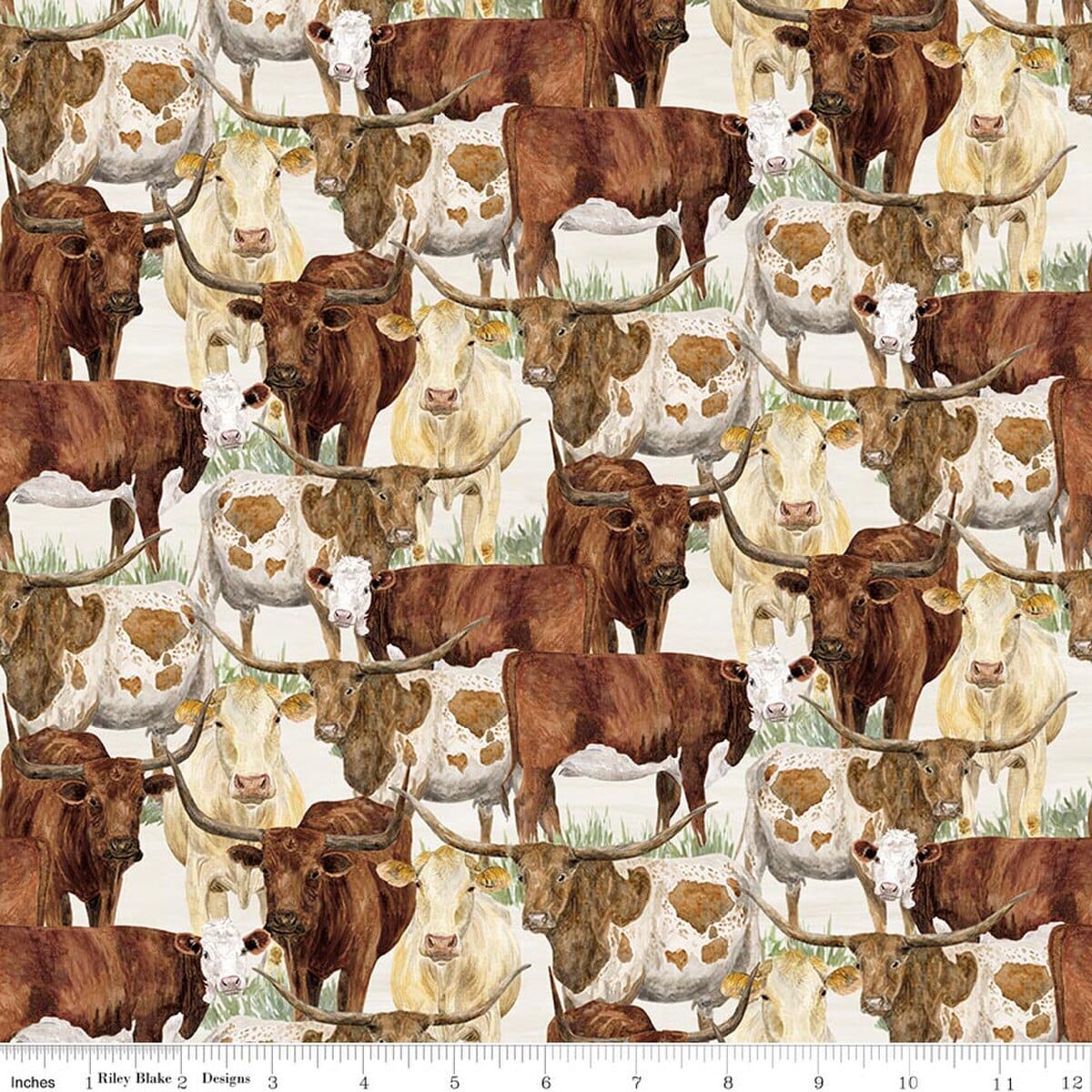 Herd Of Cattle Cream - The Homestead CD18231-CREAM