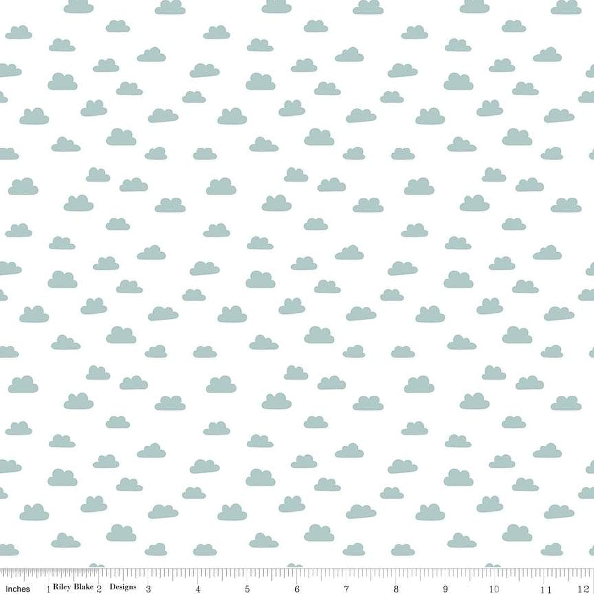 Double Lush Velvet Cotton Fabric - Baby Boy (Riley Blake) LV17366