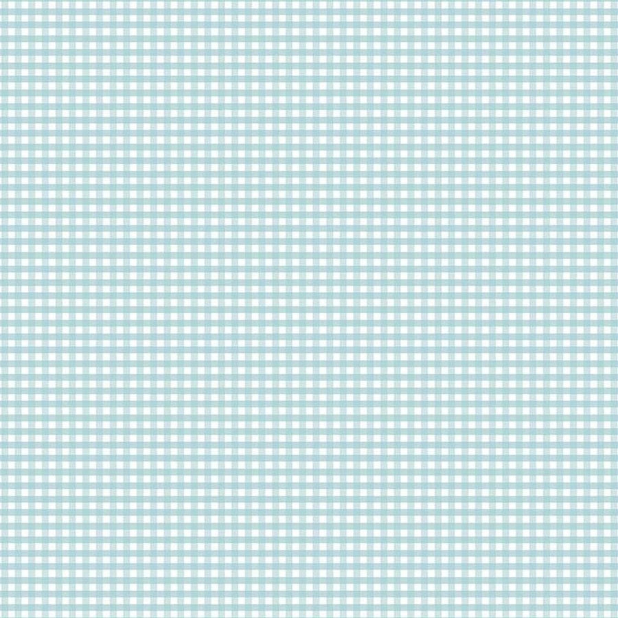 Gingham - 1/8" Gingham Aqua C440-20AQUA