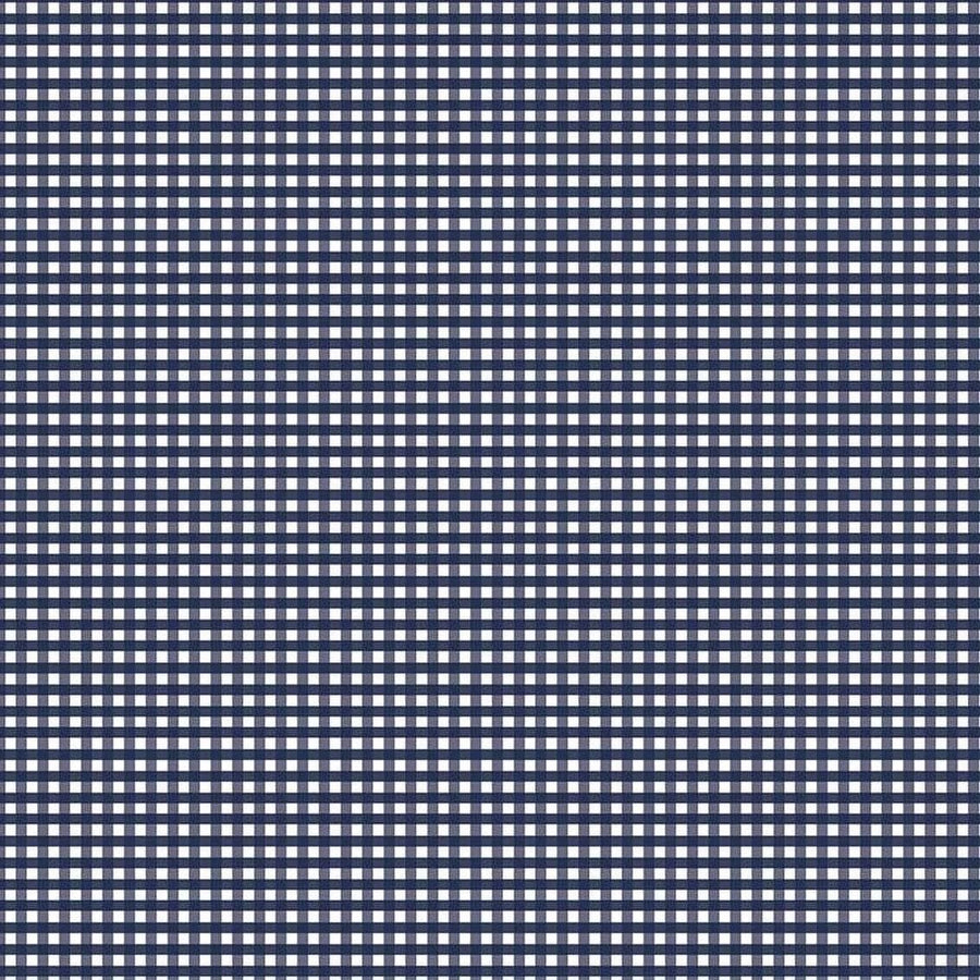 Gingham - 1/8" Gingham Navy C440-21NAVY