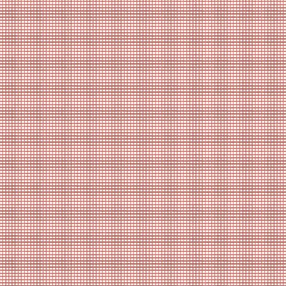 Gingham -  Micro Gingham Canyon Rose C455-CANYONROSE