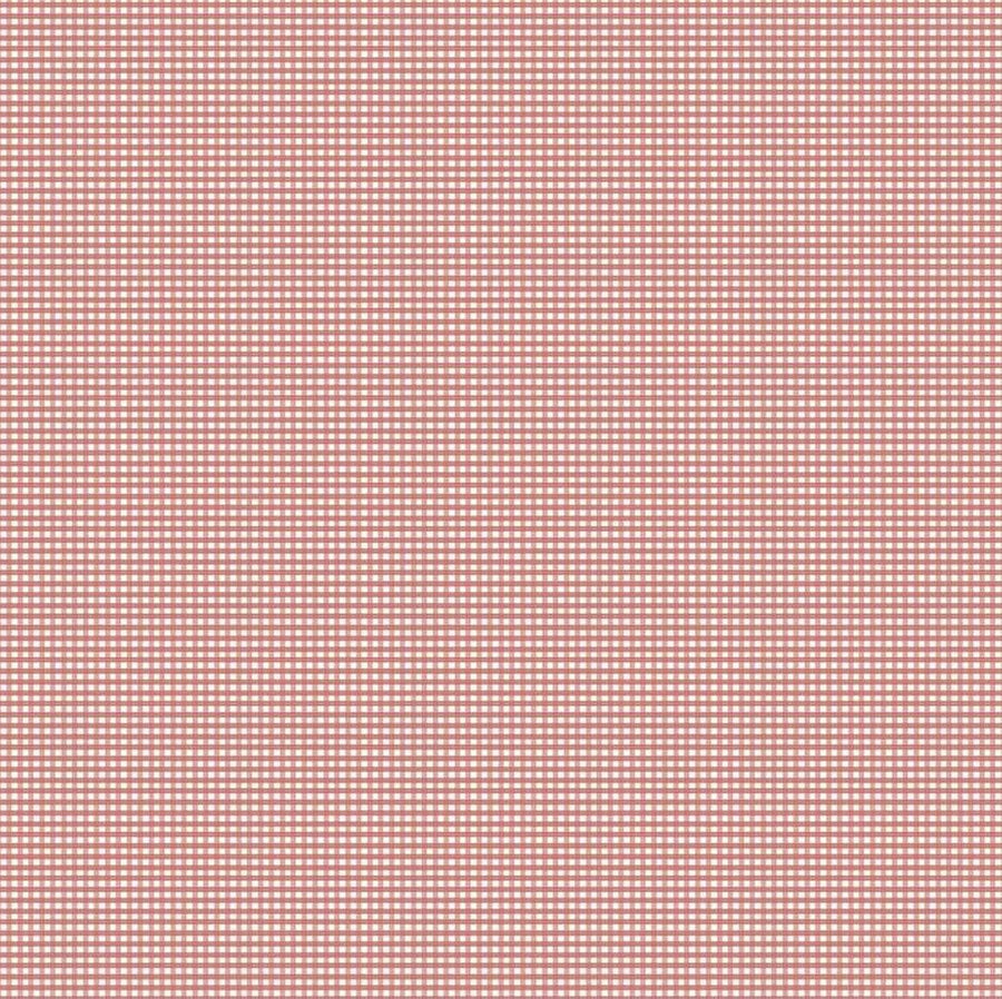 Gingham -  Micro Gingham Canyon Rose C455-CANYONROSE