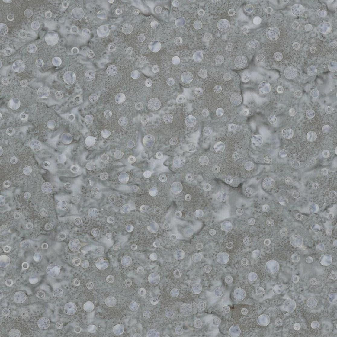 Gray & Golden Arabella - Pewter Dots BT23524-155