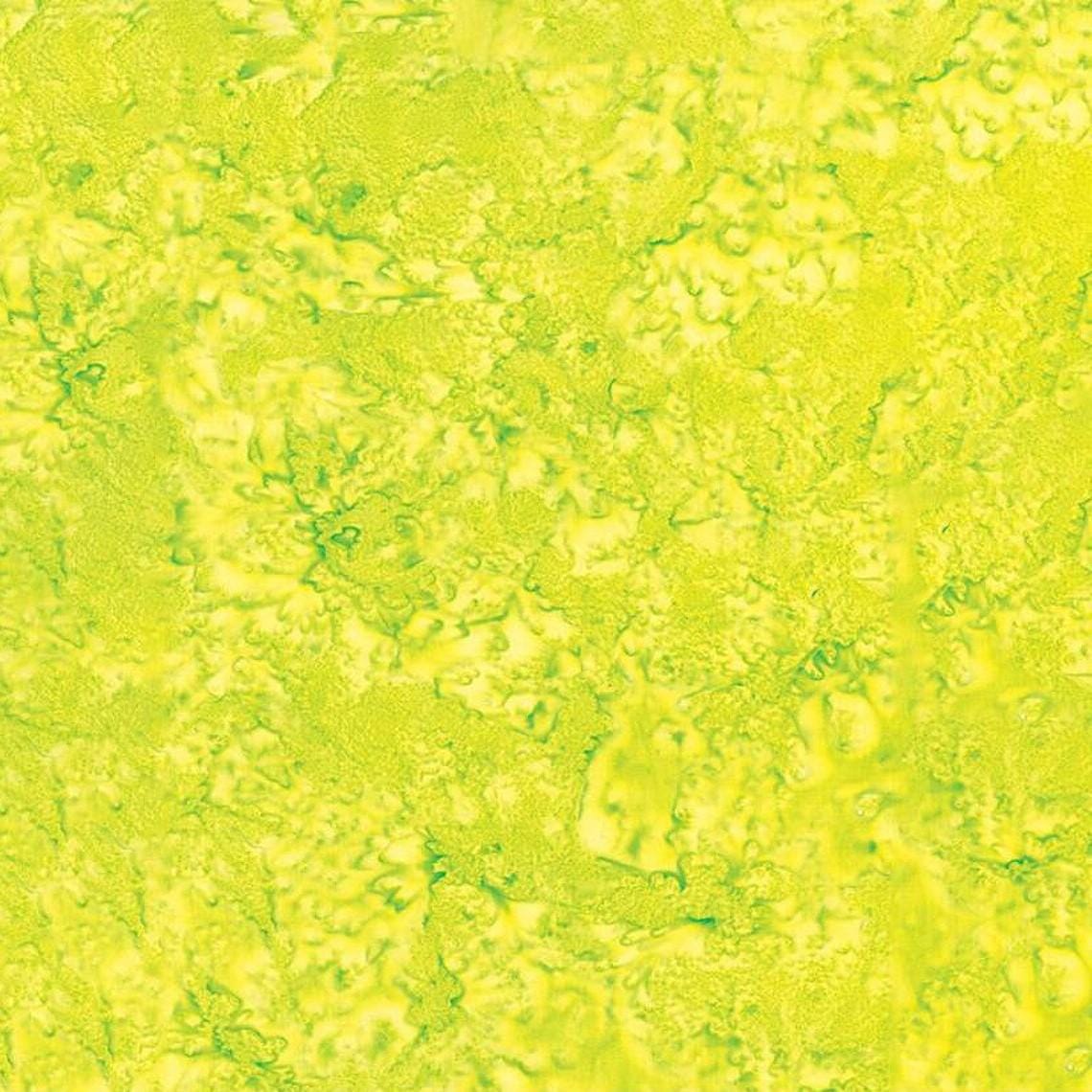 Hand-Dyes - Kiwi BT21000-311-15