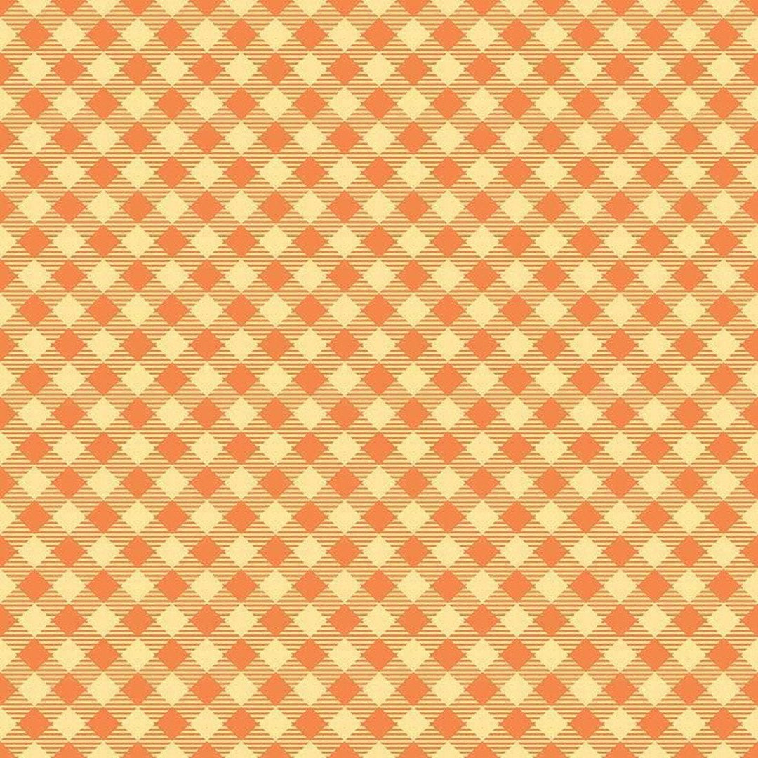 Lori Holt Bee Basics - Gingham Orange RB6400-ORAN