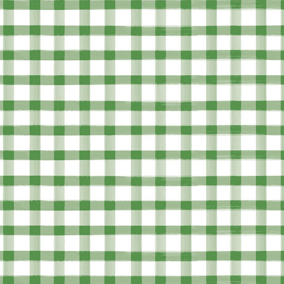 Monthly Placemats 2 - Gingham Green C13944-GREEN