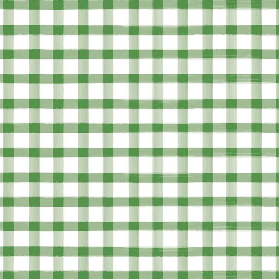 Monthly Placemats 2 - Gingham Green C13944-GREEN