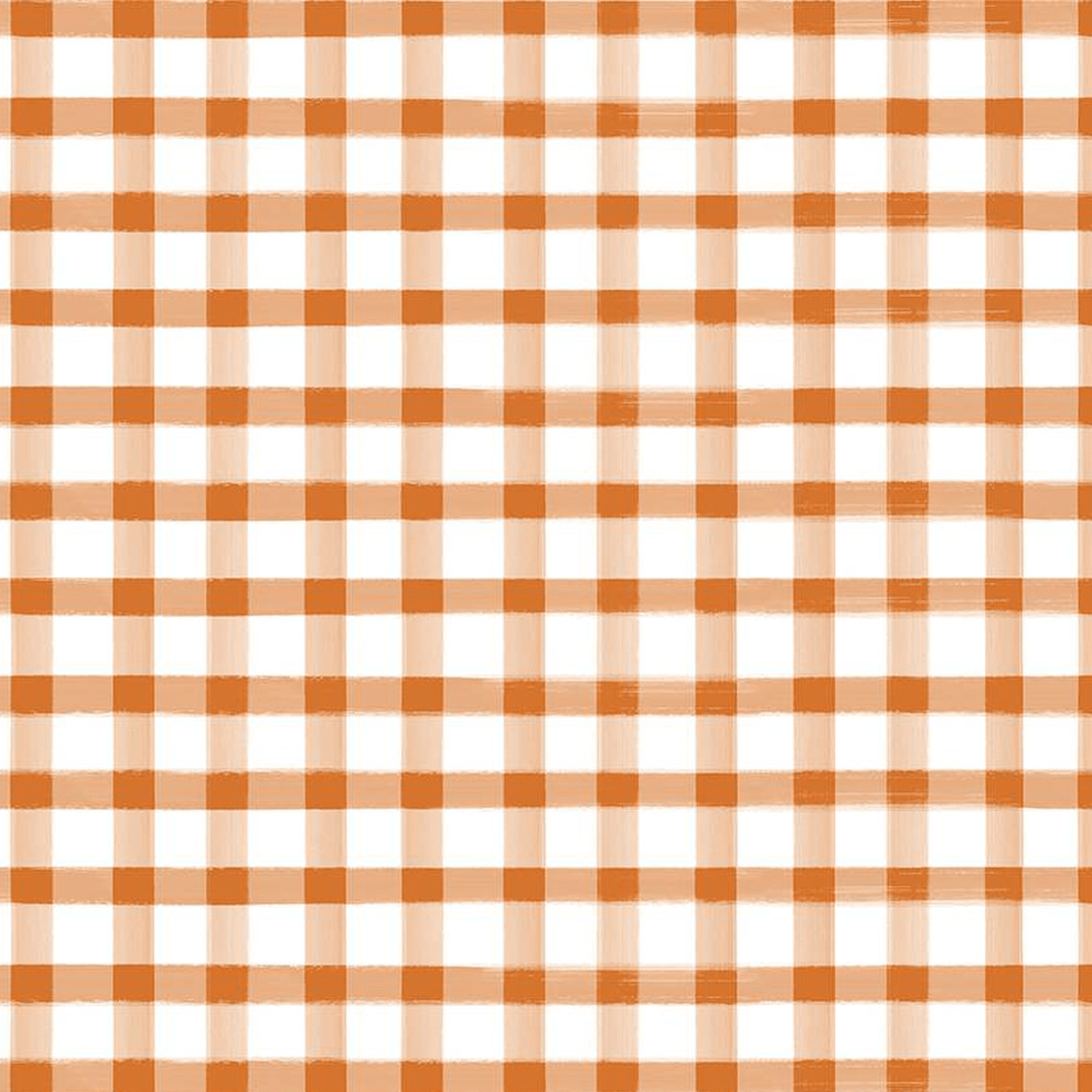 Monthly Placemats 2 - Gingham Orange C13944-ORANGE