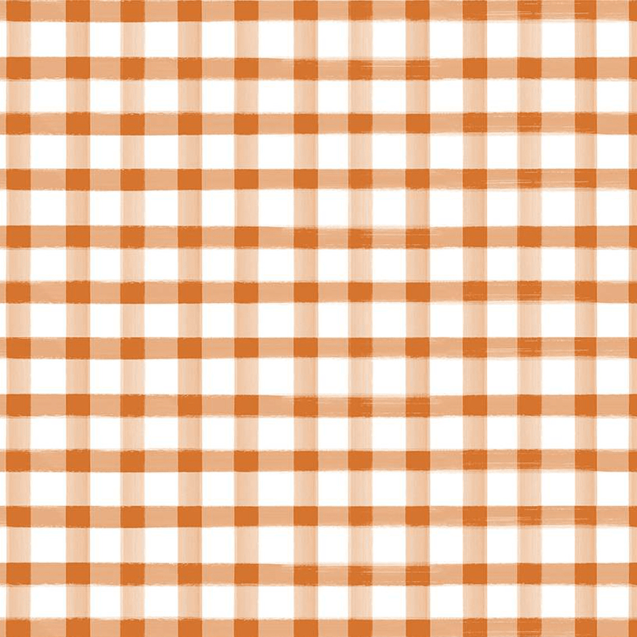 Monthly Placemats 2 - Gingham Orange C13944-ORANGE