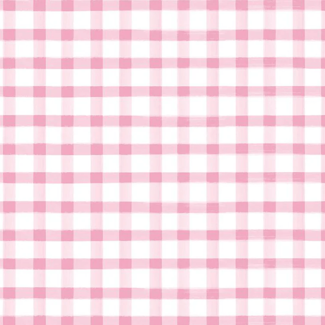 Monthly Placemats 2 - Gingham Pink C13944-PINK