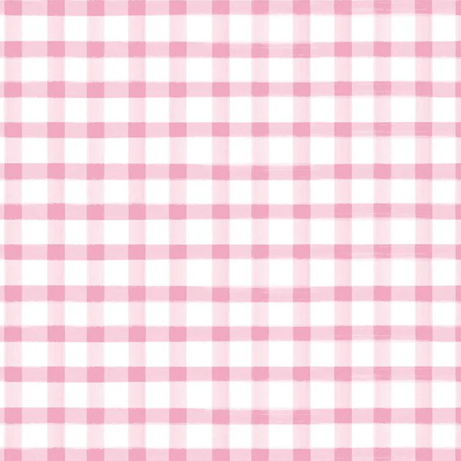 Monthly Placemats 2 - Gingham Pink C13944-PINK