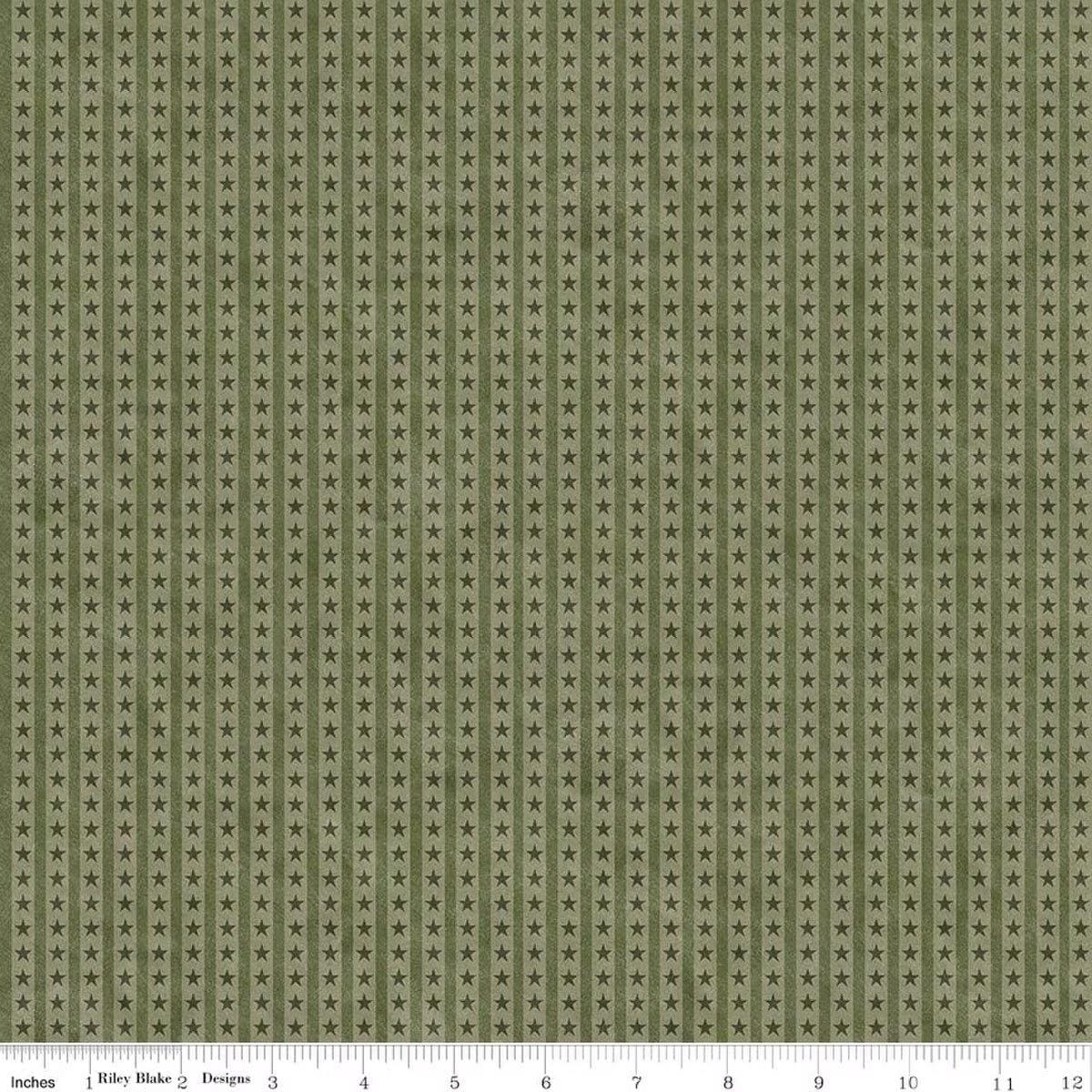 Northern Christmas - Star Stripes Green C17836-GREEN