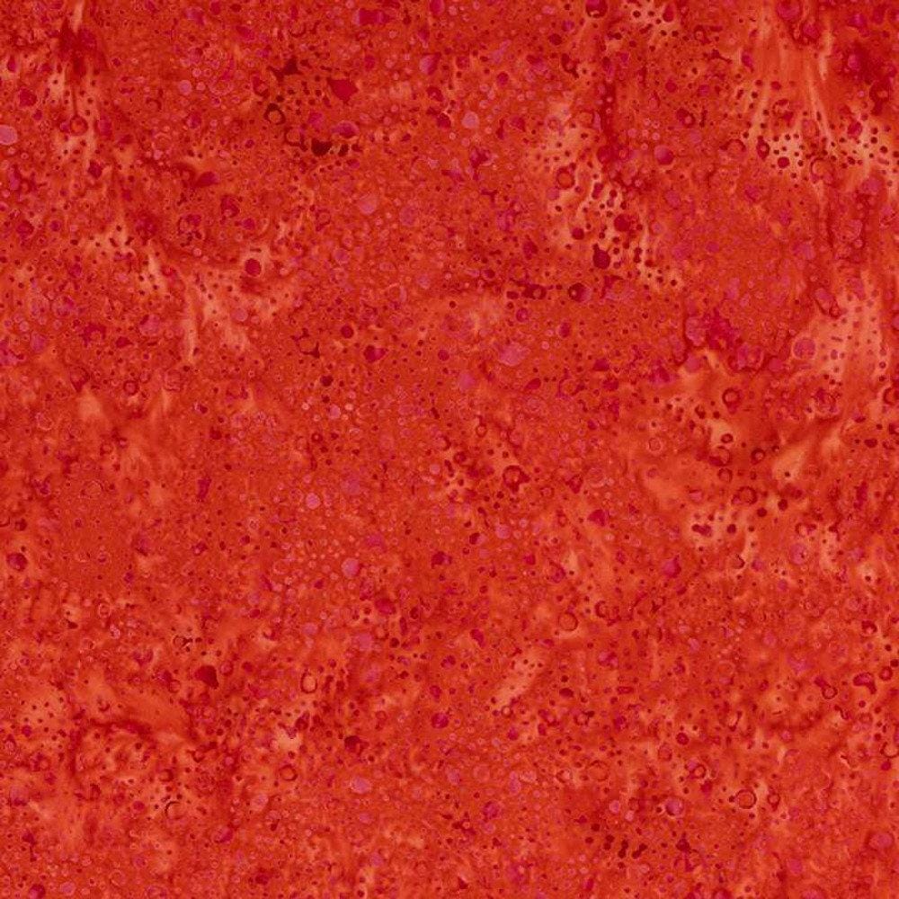 Paprika BTHH503