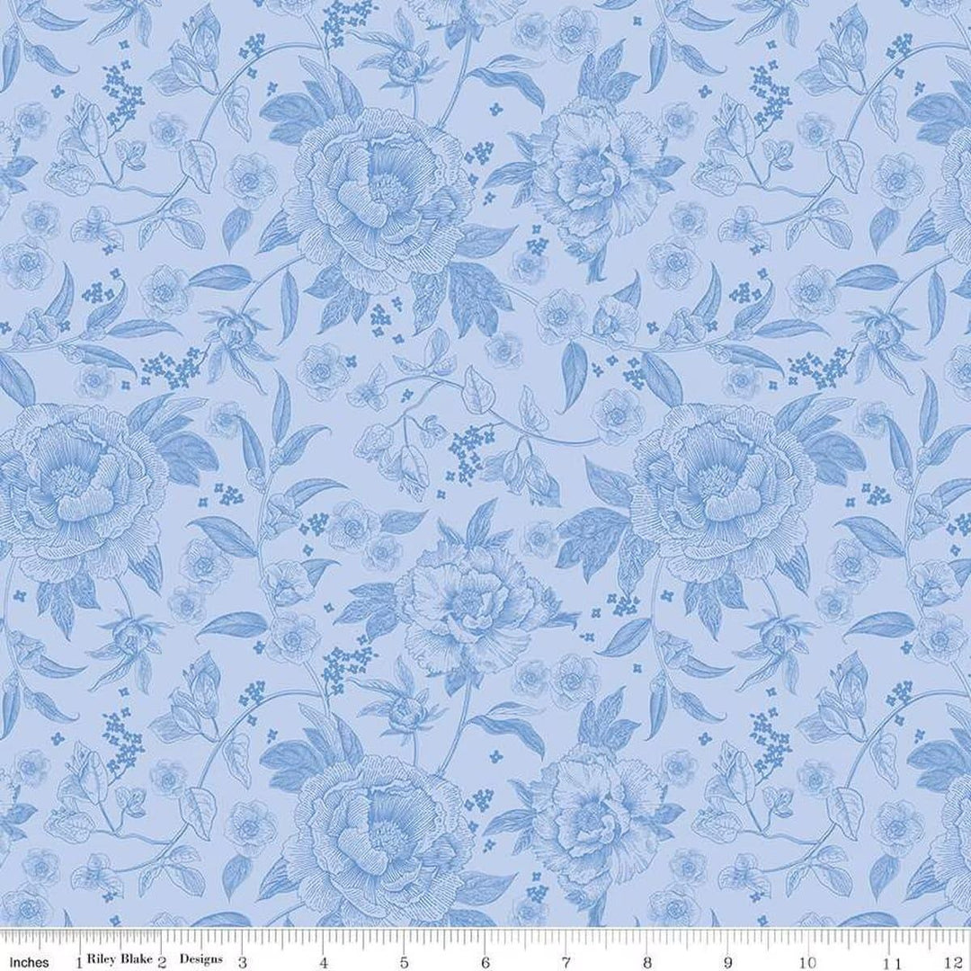 Penelope - Main Sky C16640-SKY