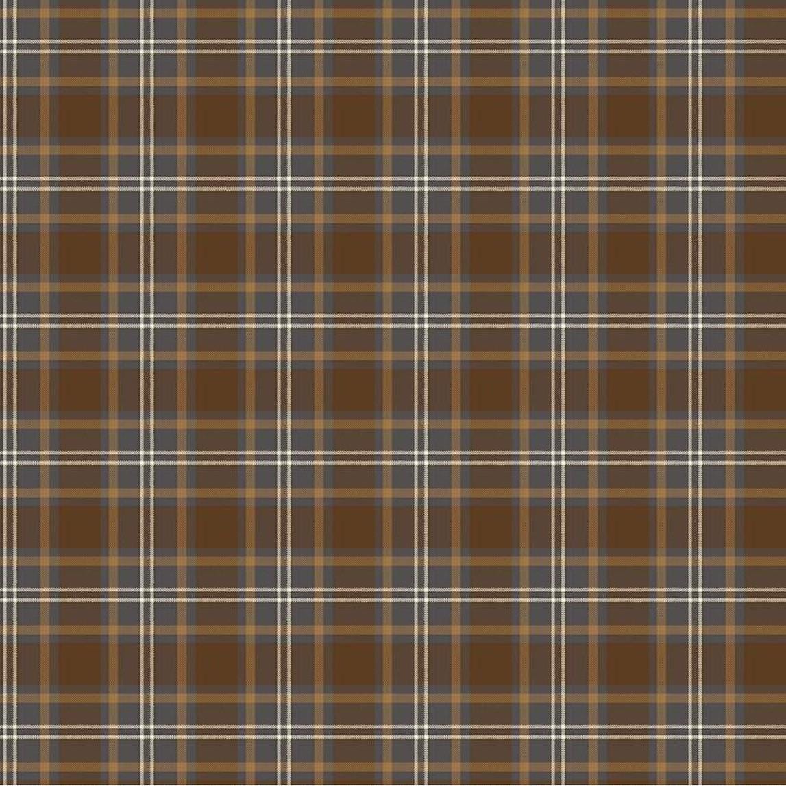 Pine Grove - Plaid Brown C15935-BROWN