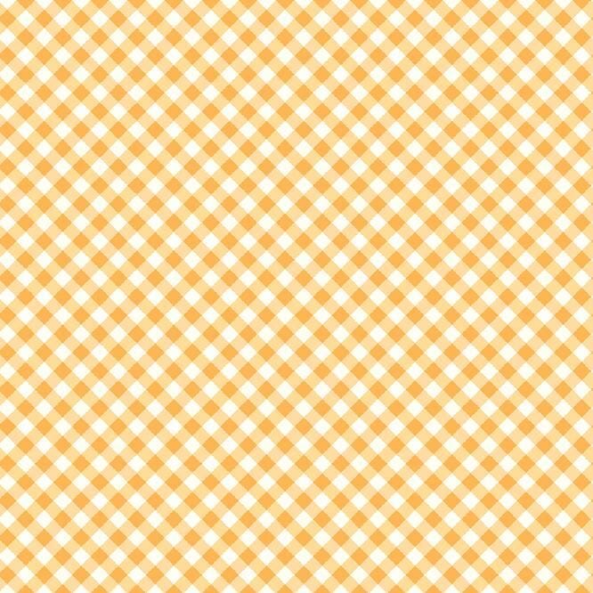 Riley Blake - Bee Ginghams - Tammy Daisy C12554-DAISY